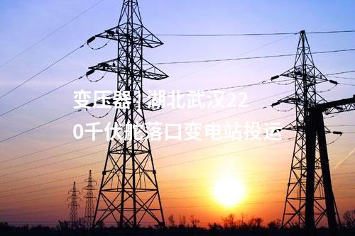 輸變電工程 | 四川電網(wǎng)兩項(xiàng)迎峰度夏重點(diǎn)工程投運(yùn)